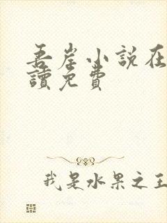 吾岸小说在线阅读免费封面