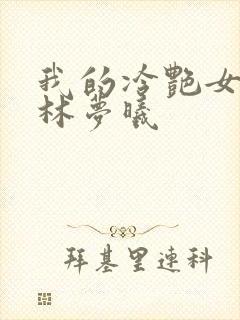 我的冷艳女总裁林梦曦