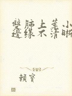 双肺上叶小结节边缘不清晰