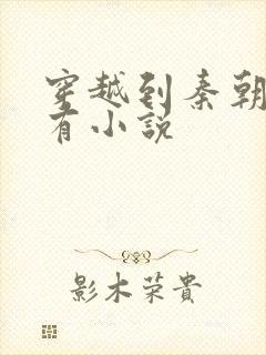 穿越到秦朝的所有小说封面