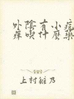 外阴有小疙瘩瘙痒吃什么药