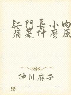 肛门长小肉球很痛是什么原因