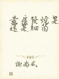 黄痰发烧是病毒还是细菌