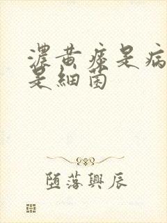 浓黄痰是病毒还是细菌