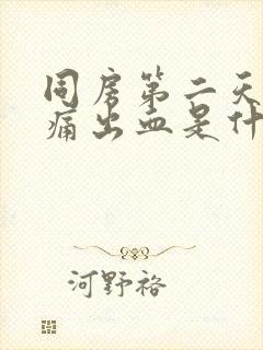 同房第二天小腹痛出血是什么原因