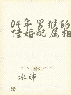 04年男猴的最佳婚配属相封面