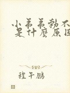 小弟弟勃不起来 是什么原因