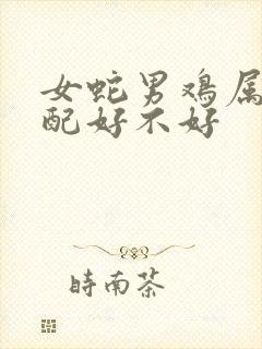 女蛇男鸡属相婚配好不好