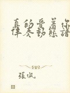 真的爱着你f调伴奏动态谱