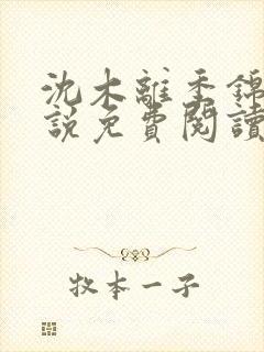 沈木离季锦川小说免费阅读最新章节