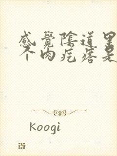 感觉阴道里面有个肉疙瘩是怎么回事