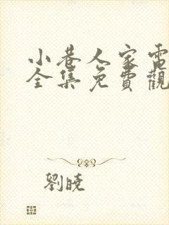 小巷人家电视剧全集免费观看高清