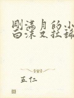 刚满月的小猫吐白沫又拉稀怎么办