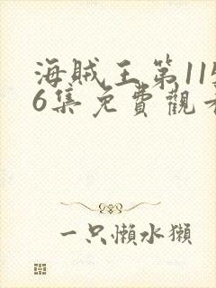 海贼王第1156集免费观看封面