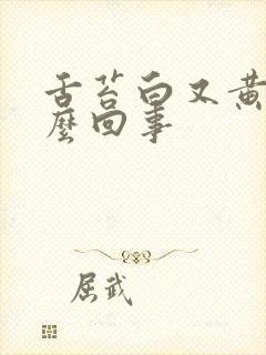 舌苔白又黄是怎么回事