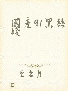 国产91黑丝在线