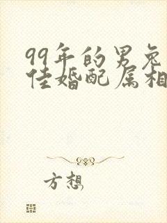 99年的男兔最佳婚配属相