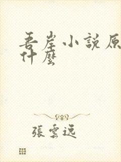 吾岸小说原著叫什么