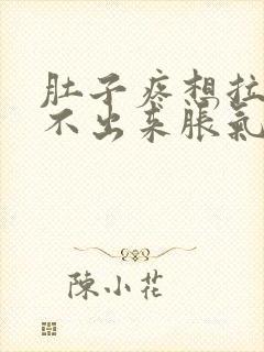 肚子疼想拉屎拉不出来胀气怎么回事