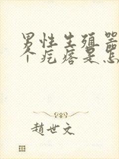 男性生殖器里有个疙瘩是怎么回事封面