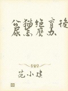 公猫绝育后还乱尿怎么办