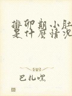 排卵期小肚子疼是什么情况封面