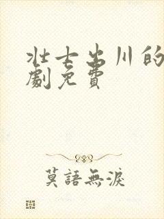 壮士出川的电视剧免费