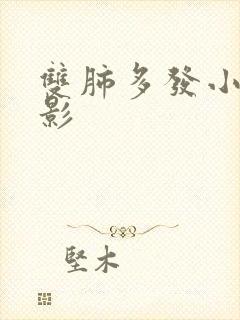 双肺多发小结节影封面