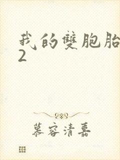 我的双胞胎姐妹2