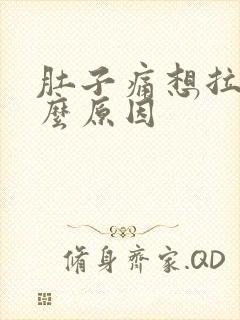 肚子痛想拉稀什么原因封面