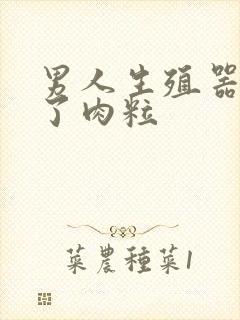 男人生殖器上长了肉粒