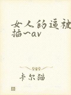 女人的逼被男人插~av