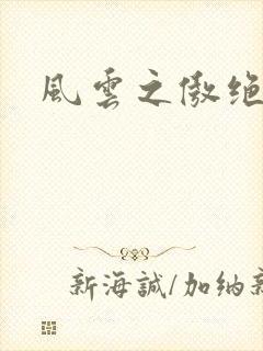 风云之傲绝封面