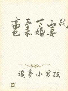 高手下山我的绝色未婚妻