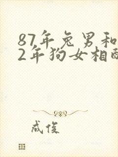 87年兔男和82年狗女相配吗