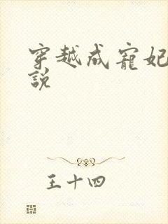 穿越成宠妃的小说