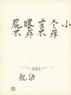 屁眼有个小肉球不疼不痒封面