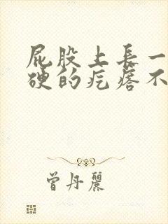 屁股上长一个硬硬的疙瘩不痛不痒