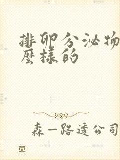 排卵分泌物是什么样的