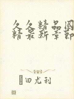 久久精品国产久精最新章节