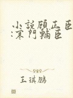 小说顾正臣大明:寒门辅臣