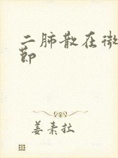 二肺散在微小结节