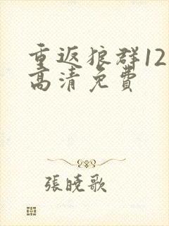 重返狼群12集高清免费封面