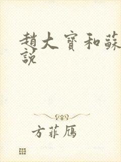 赵大宝和苏媚小说封面