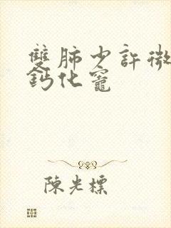 双肺少许微结节钙化灶