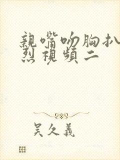 亲嘴吻胸扒衣激烈视频二封面