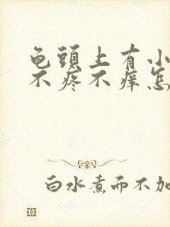 龟头上有小疙瘩不疼不痒怎么回事