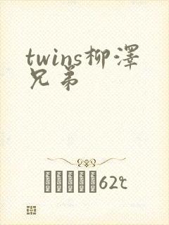 twins柳泽兄弟封面