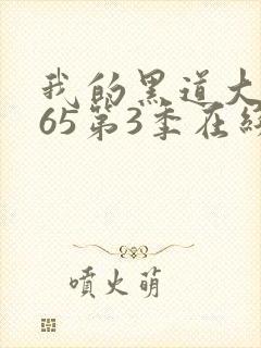 我的黑道大佬365第3季在线观看全集免费