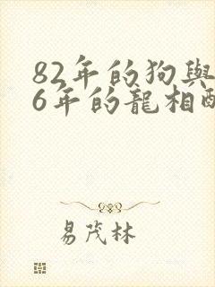 82年的狗与76年的龙相配吗封面